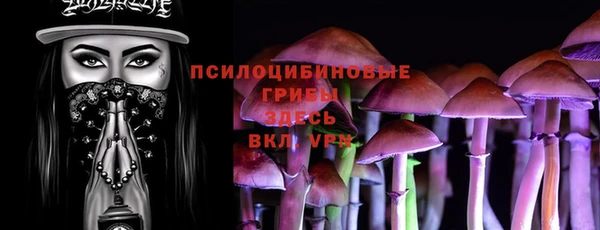 спайс Алексеевка